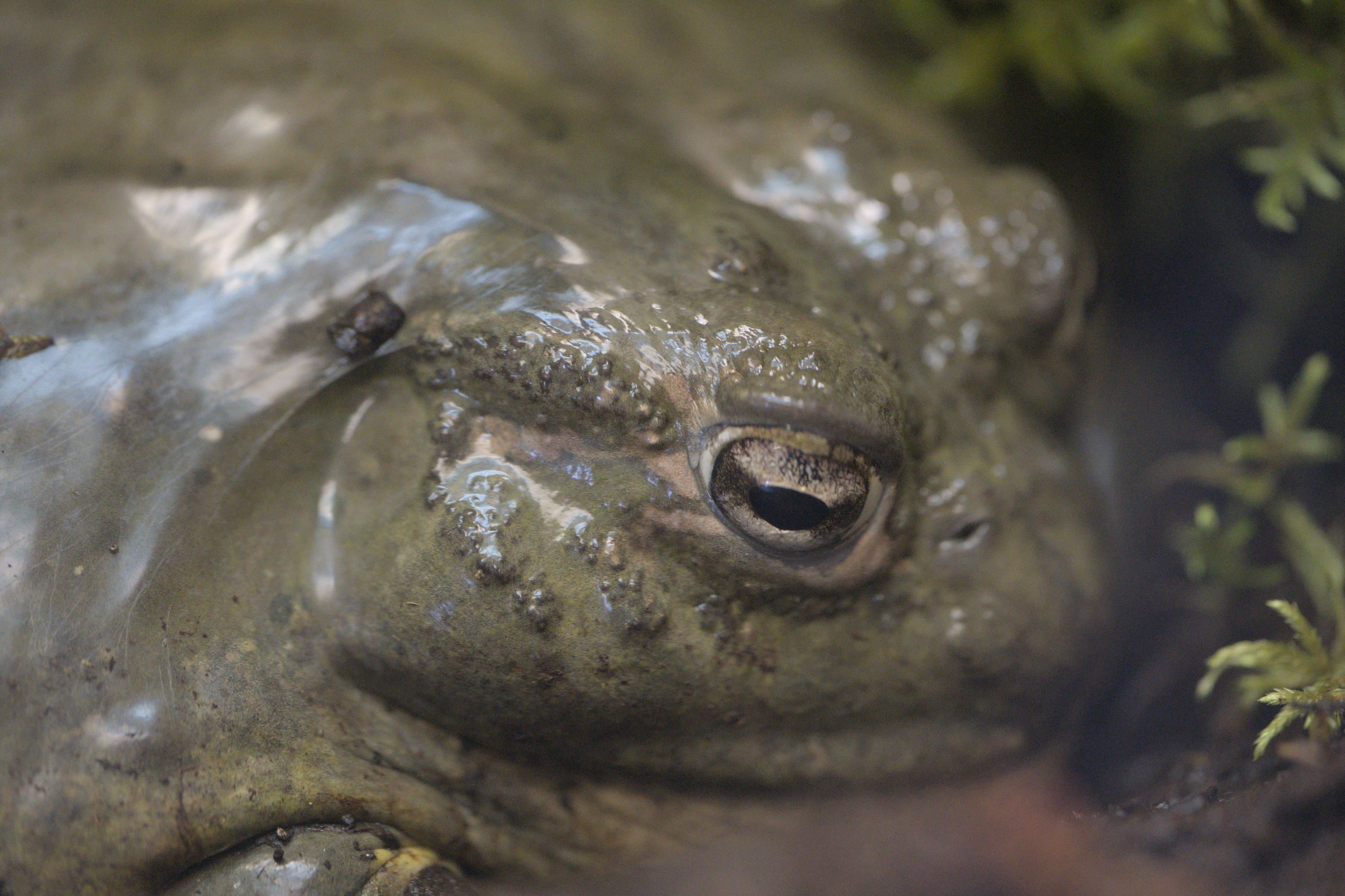 2025/10/12 - zoo/DSC_0178.jpg